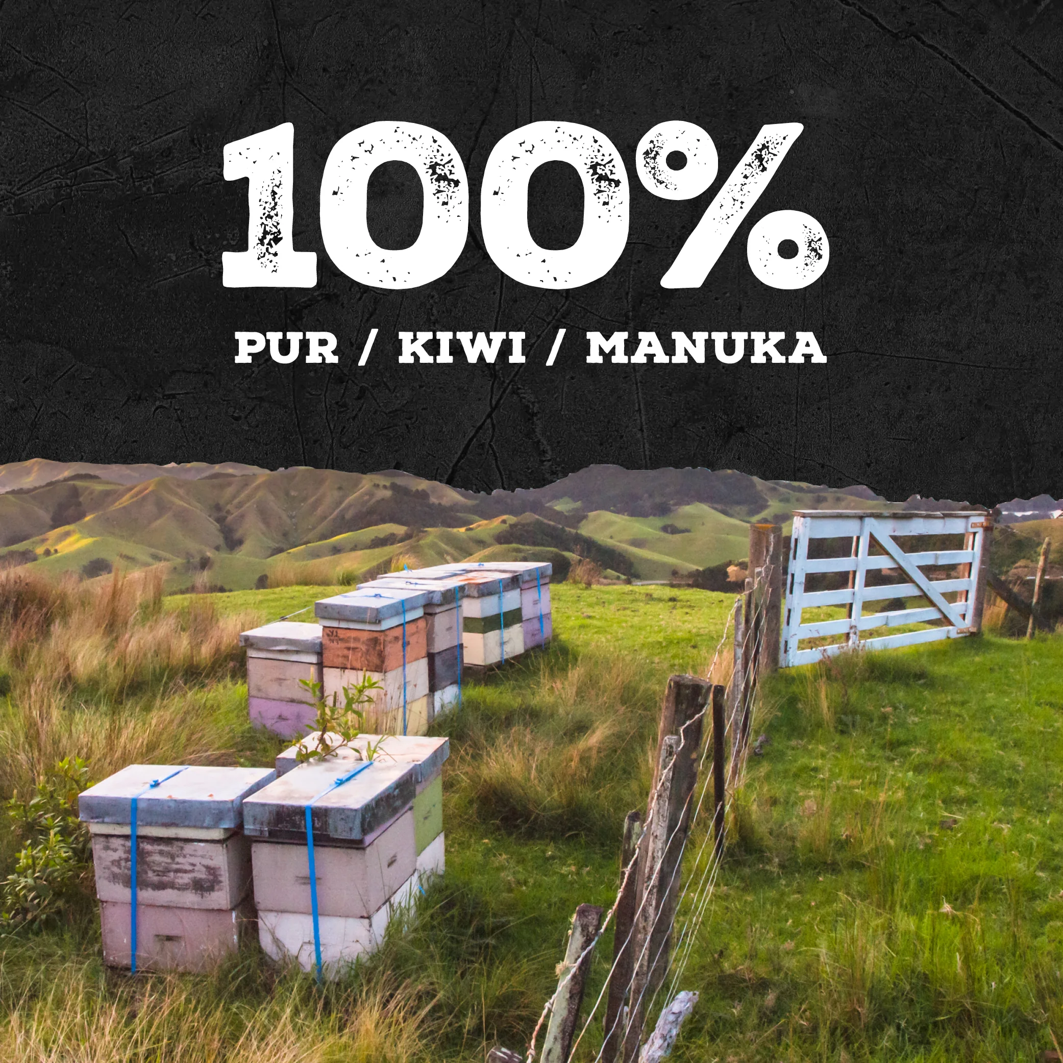 740 MGO Manuka Honig 500g - Image 12
