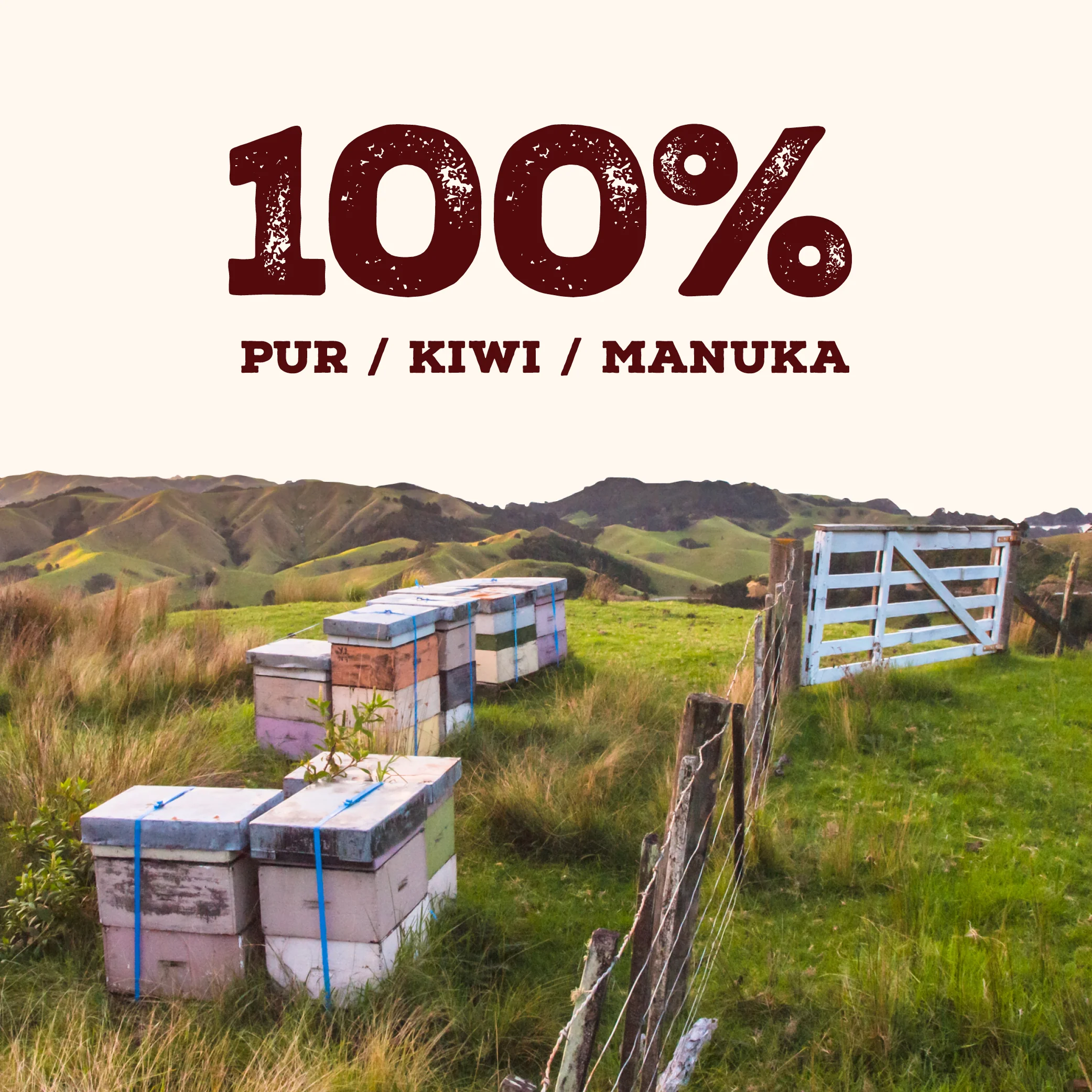 500 MGO Manuka Honig 500g - Image 12